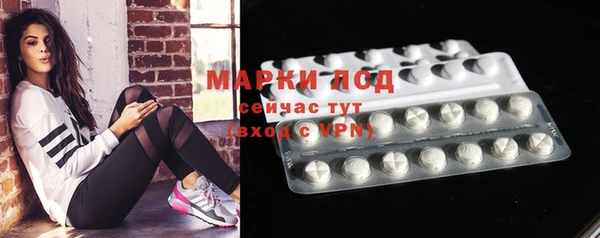 индика Новодвинск