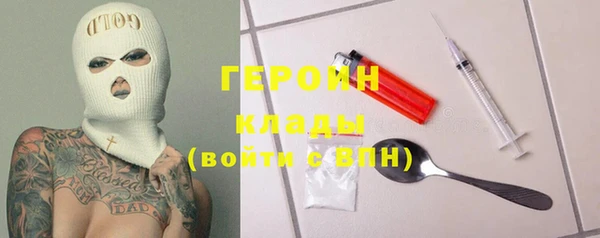 индика Новодвинск