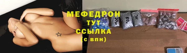 индика Новодвинск