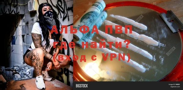 индика Новодвинск