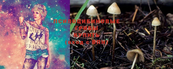 герыч Новокубанск