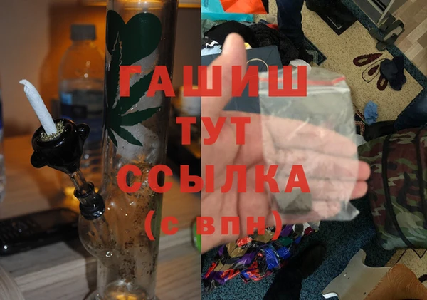 индика Новодвинск