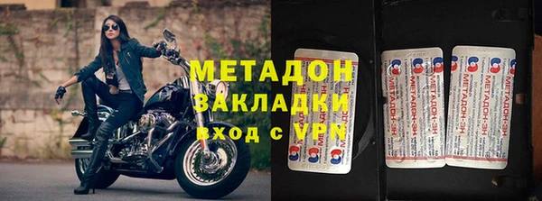 индика Новодвинск