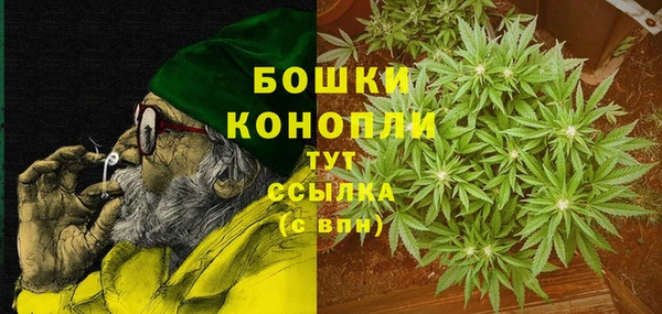 гашик Белая Холуница