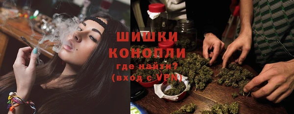 гашик Белая Холуница