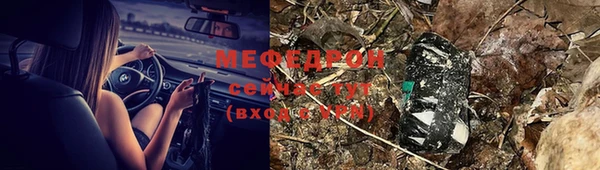 индика Новодвинск