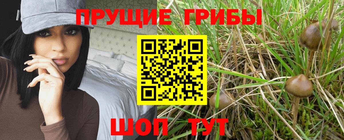 Псилоцибиновые грибы мухоморы Сарапул